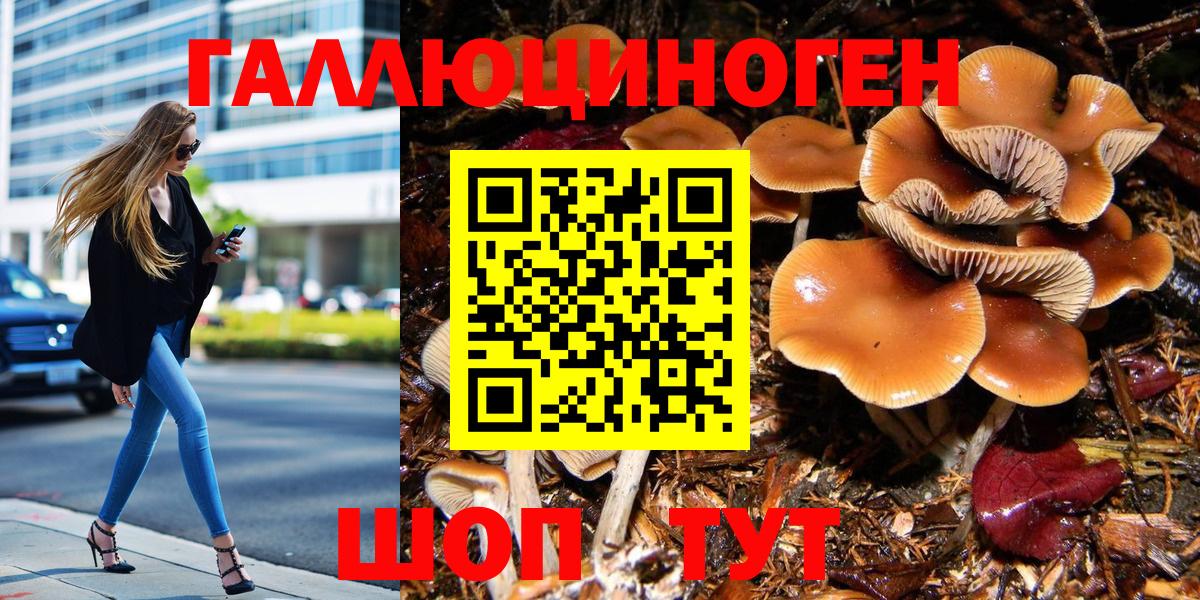 Псилоцибиновые грибы MAGIC MUSHROOMS Ишимбай
