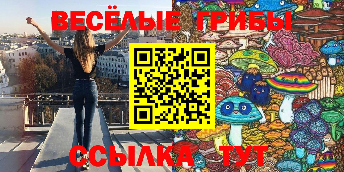 Ишимбай  Галлюциногенные грибы Psilocybe  Вход с VPN 